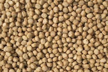 Diverse - peletepescuitc5b3922.jpg